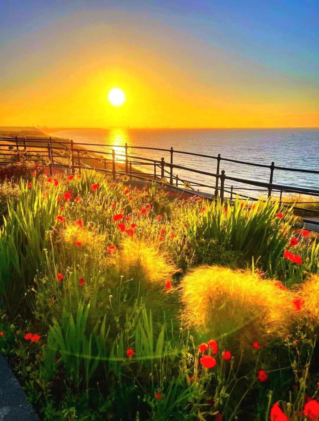 Sea Forever Oceanfront Home Perfectly Saltburn Exteriér fotografie